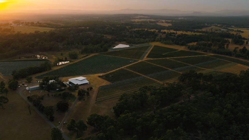 Have you heard the De Iuliis story?