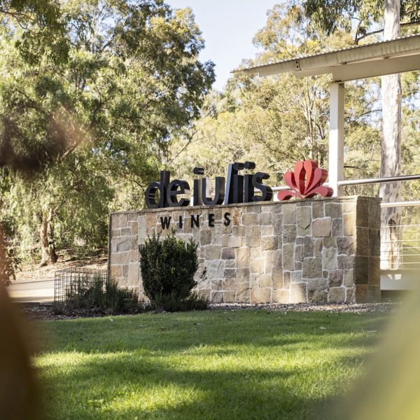 Visit De Iuliis Wine cellar door located in Pokolbin, Hunter Valley