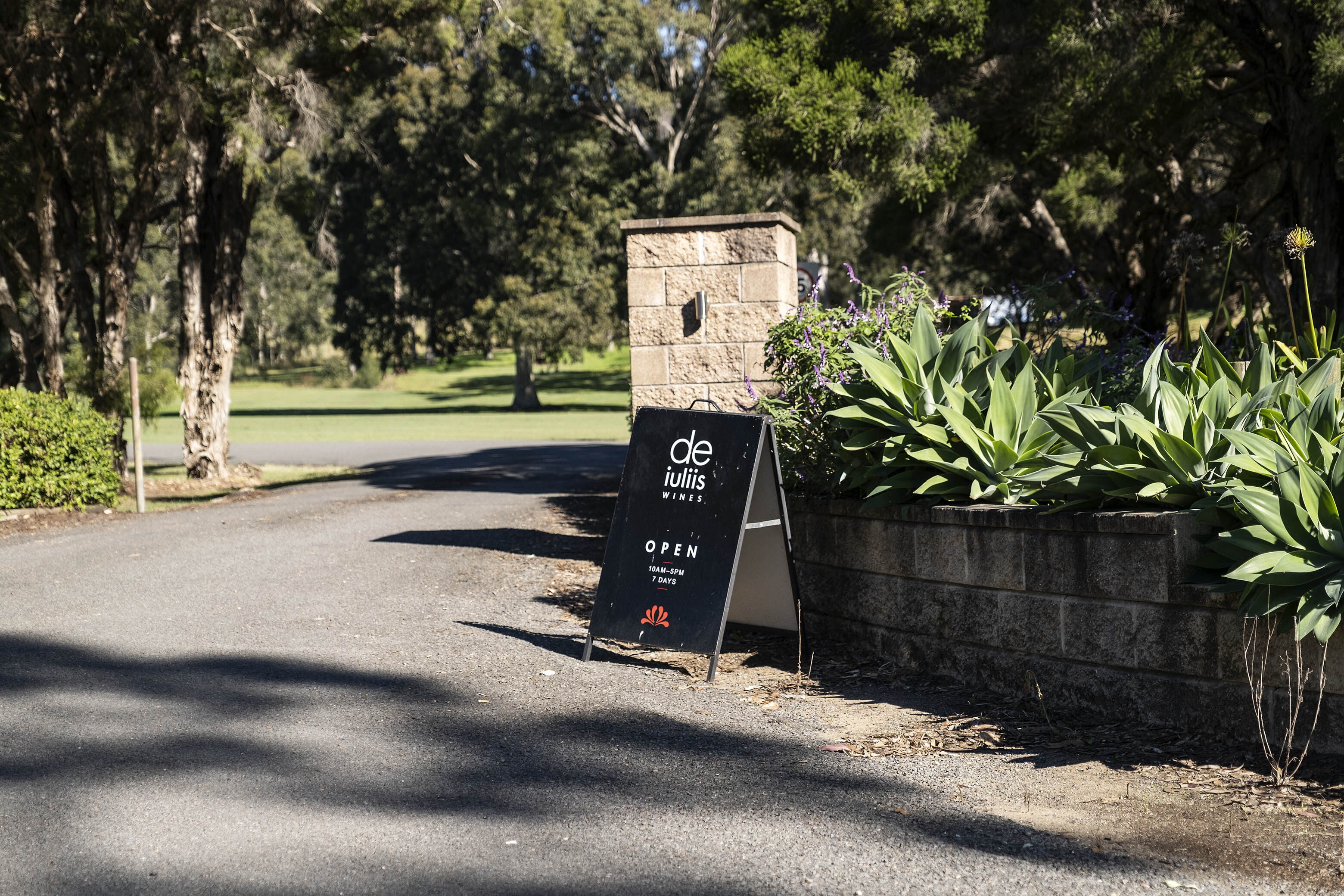 Christmas Shipping & Trading Hours