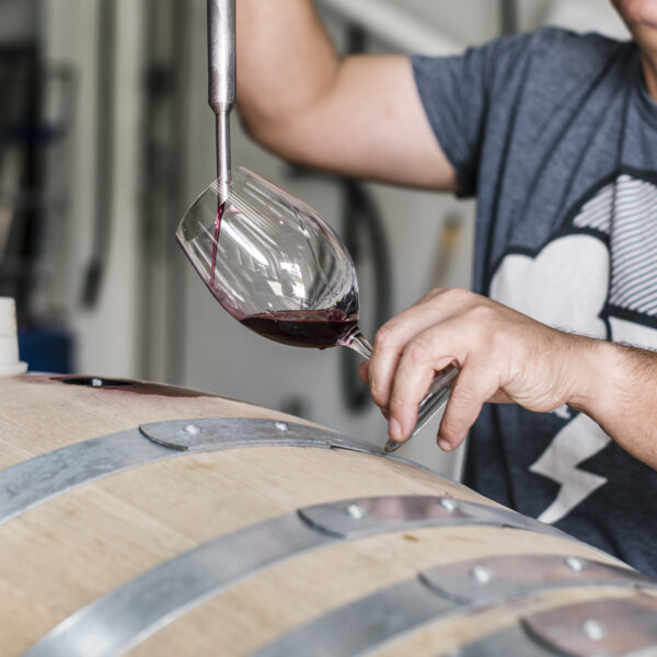 Mike De Iuliis using a wine theif