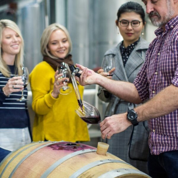 Wine guests enjoy the De Iuliis DeWine experience