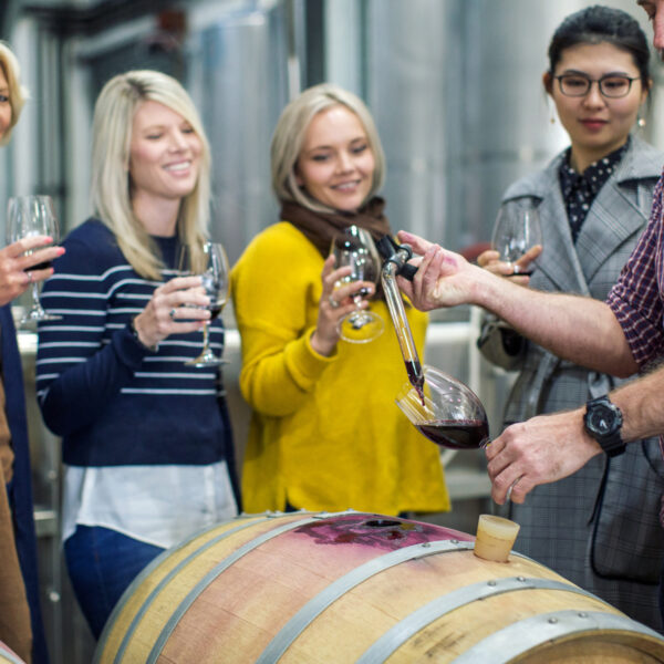 De Iuliis DeWine Experience