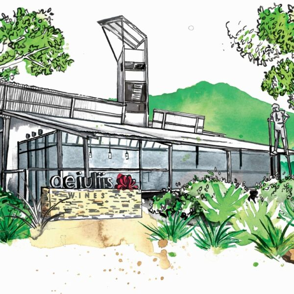 An illustrated image of the De Iuliis cellar door which is a Hunter Valley winery