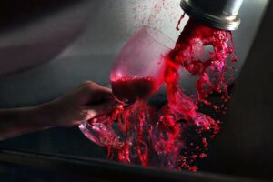 Red wine filling a wine glass straight out of the winery press